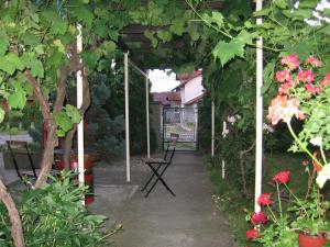 a garden with a pergola and some flowers at Kuća za odmor Jelena in Kladovo