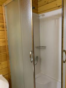 La salle de bains est pourvue d'une douche avec une porte en verre. dans l'établissement Mini - hotel Knyajiy Grad, à Haspra