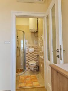 a bathroom with a toilet and a glass shower at Villa Jure - Apartment Mirjana in Lovran