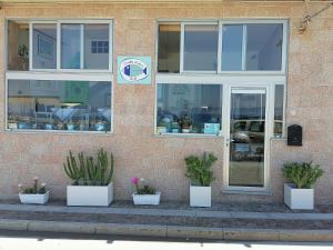 a building with three potted plants in front of it at Casetta al mare in Isola Rossa