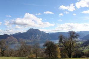 einen Blick auf einen See mit Bergen im Hintergrund in der Unterkunft Ferienwohnungen Walk in Gmunden