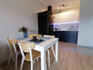 Η κουζίνα ή μικρή κουζίνα στο APARTAMENT GROMADZYŃ 39 +1 φωτογραφίες