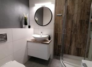 een badkamer met een wastafel en een douche met een spiegel bij APARTAMENT GROMADZYŃ 39 in Ustrzyki Dolne