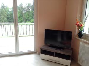 y TV de pantalla plana en una sala de estar. en Ferienwohnungen Krakolinig, en Pörtschach am Wörthersee