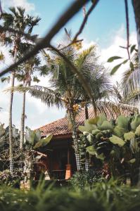 a house with palm trees in front of it at Ubud Hotel & Cottages in Malang