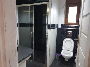 a bathroom with a toilet and a glass shower at Domek Shrek in Boszkowo +5 photos