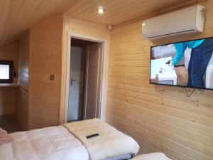 a room with a tv on a wooden wall at Domek Shrek in Boszkowo