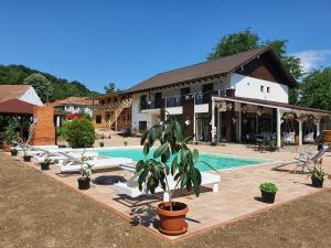 a resort with a swimming pool and a building at Casa Artemis-jacuzzi și piscină in Pianu de Sus