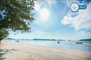 una playa con dos bancos en el agua en Blue Beach Grand Resort And Spa SHA Plus en Rawai Beach