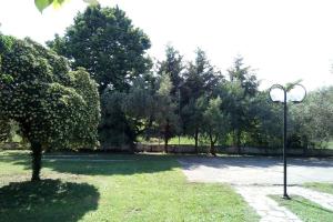 A garden outside Paradise edge near the sea