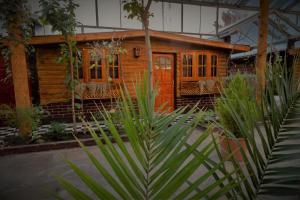 Um jardim em Don Pepe Hotel y Cabañas