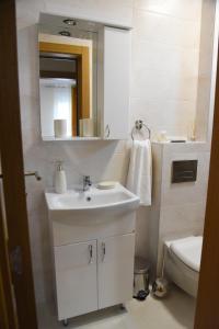uma casa de banho com um lavatório, um espelho e um WC. em Millenium apartment em Soko Banja