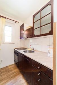 a kitchen with wooden cabinets and a sink at Pension Jana in Český Krumlov