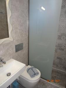 La salle de bains est pourvue de toilettes, d'un lavabo et d'une douche. dans l'établissement Studios Anais - Thasos, à Thasos