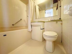 Hotel Ginsui في شيراهاما: حمام مع مرحاض ومغسلة ومرآة