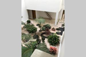 an indoor garden with plants in a building at Duplex haut standing à 5min de la plage in Agadir