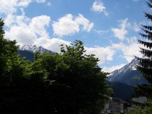 widok na pasmo górskie z drzewami na pierwszym planie w obiekcie Meckyheim w Mayrhofen