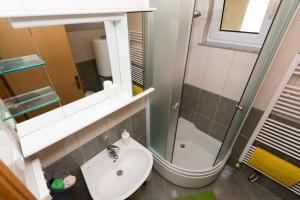 a bathroom with a sink and a shower and a toilet at Holiday home Zulejka in Ogulin