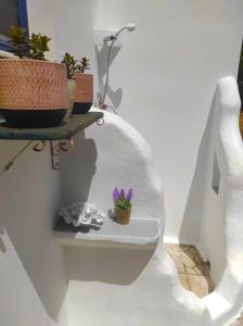 a white wall with a shelf with plants on it at Lontos Village in Finikounta