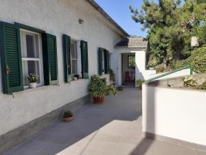 a house with green shuttered windows and potted plants at Holiday House Graziella in Castiglione a Casauria