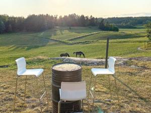 two chairs and a table and two horses in a field at 9 person holiday home in Tystberga in Tystberga