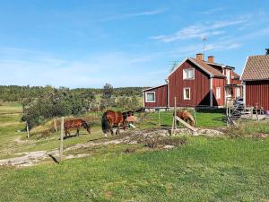 a group of horses grazing in a field next to a red house at 9 person holiday home in Tystberga in Tystberga