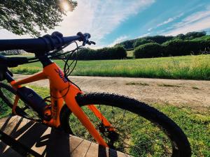 uma bicicleta laranja estacionada ao lado de uma cerca em Ferienwohnung am Waldrand em Kalletal