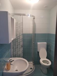 a bathroom with a toilet and a sink and a shower at VELI LOŠINJ Rovenska 52 in Veli Lošinj