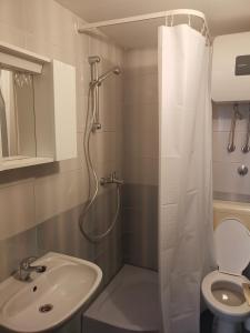 a bathroom with a shower and a sink and a toilet at VELI LOŠINJ Rovenska 52 in Veli Lošinj