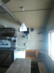 Köök või kööginurk majutusasutuses Dachka on Ladoga