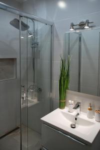y baño con lavabo y ducha acristalada. en Apartament - Przy Rynku en Tarnowskie Góry