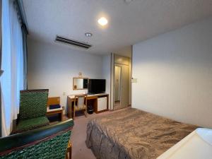 TV a/nebo společenská místnost v ubytování Hotel Ginsui
