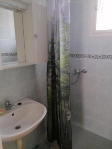 a bathroom with a sink and a shower curtain at Aleksandros in Mezőkövesd