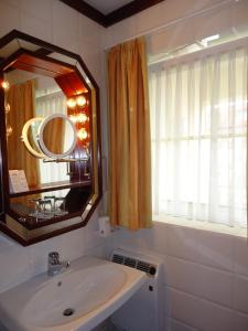 Koupelna v ubytování Akzent Hotel Löwen