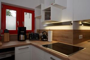 une cuisine avec un évier et un plan de travail dans l'établissement Ferienhaus an der Plantage, à Dresde