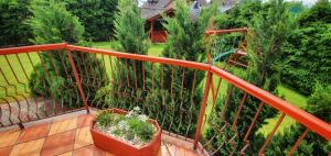 A garden outside Privat Ivan