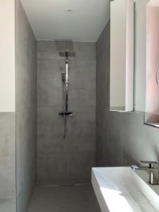 une salle de bain avec douche et lavabo dans l'établissement Ferienhaus an der Plantage, à Dresde