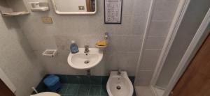 un piccolo bagno con lavandino e servizi igienici di Agriturismo Podere Omomorto a Pratovecchio
