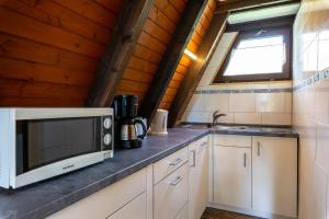 Kuchyň nebo kuchyňský kout v ubytování Ferienwohnpark Immenstaad am Bodensee Nurdachhaus Typ 7 ND 30