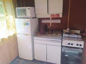Kuchyň nebo kuchyňský kout v ubytování Starovitska Hata - Ethno-cottage