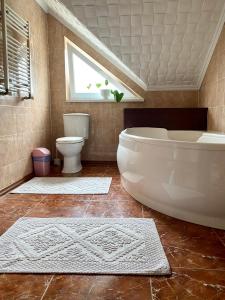 a bathroom with a tub and a toilet and a window at Вилла Поляна in Polyana +23 photos