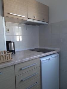 - une cuisine avec un comptoir et une cuisinière four supérieur dans l'établissement Sunny Lakeside Apartment, à Ohrid