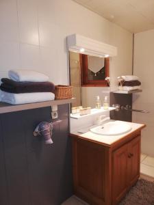 a bathroom with a sink and a mirror at Chambres en chalet petit déjeuner inclus in La Côte dʼArbroz