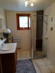 a bathroom with a shower and a sink at Chambres en chalet petit déjeuner inclus in La Côte dʼArbroz