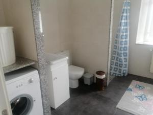 a bathroom with a toilet and a washing machine at La Casa de Colores in Sariego