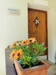 Ein Pflanzer mit orangefarbenen Blumen vor einer Tür in der Unterkunft Apartma Rekar - a house, where you can relax in the embrace of nature in Jesenice