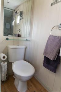 a bathroom with a white toilet and a mirror at Hilltop Hut in Church Stretton