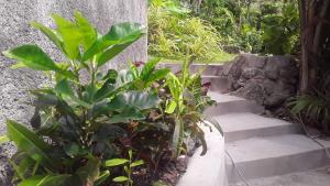 a set of stairs with plants next to a wall at Port Antonio Brian's Beach House in Port Antonio