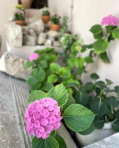 eine rosa Blume auf einem Tisch mit anderen Pflanzen in der Unterkunft Boutique Hotel Palazzo Corso Umberto in Boiano