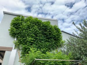 Giardino di Guest House Smile